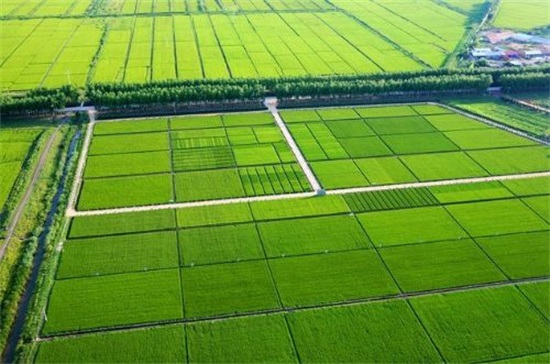 鳳翔縣2015年度高標準農田建設項目七標段